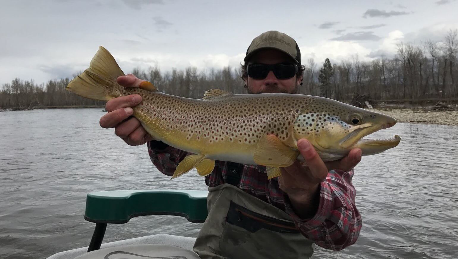 In Search of Big Trout | Montana Fly Fishing Tips