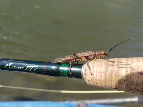 best fly rod length for lake fishing Telescopic 9Ft 10Ft 12Ft 13Ft 14Ft 15Ft 16.4Ft Distance Throwing Rod Spinning Power 2-9Oz Surfcasting Carbon Baitcasting Rod (2.7M/9Ft) : Sports & Outdoors Master Your Fly Rod Setup