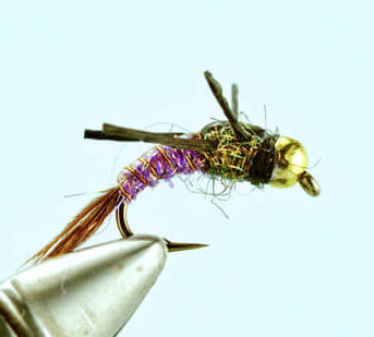 Salvation Nymph Purple