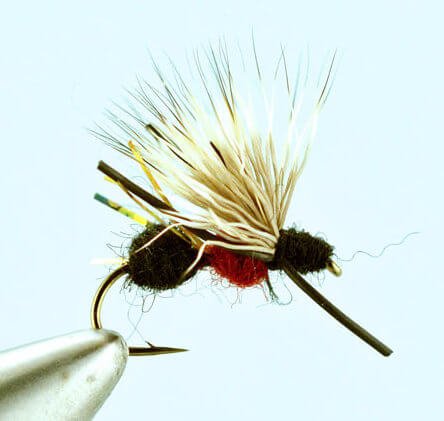 Ant Acid Red Black Fly Fishing Gear