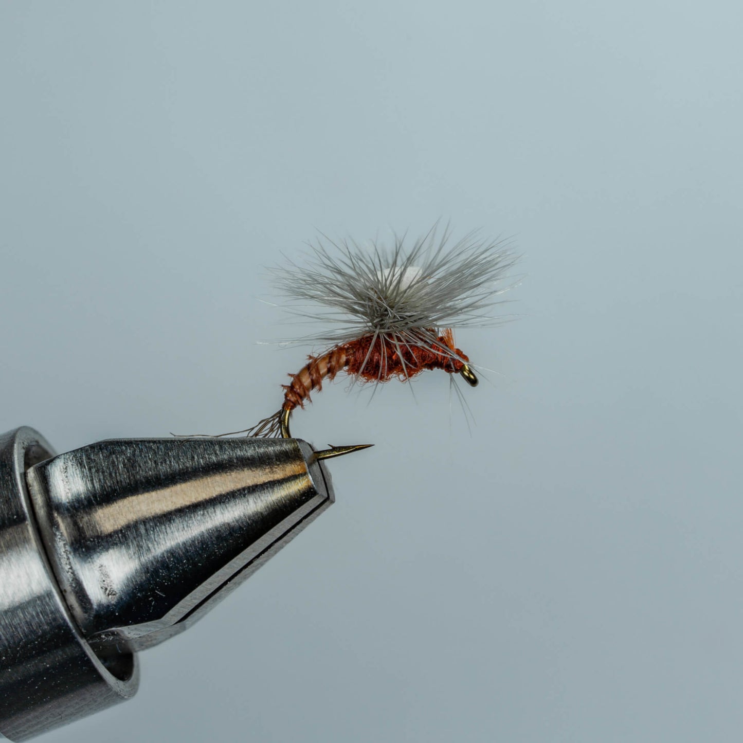 Brook's Sprout Mahogany