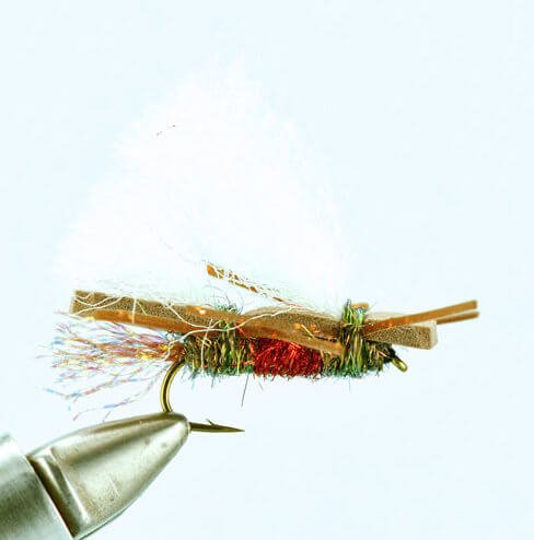 Chubby Chernobyl - Royal