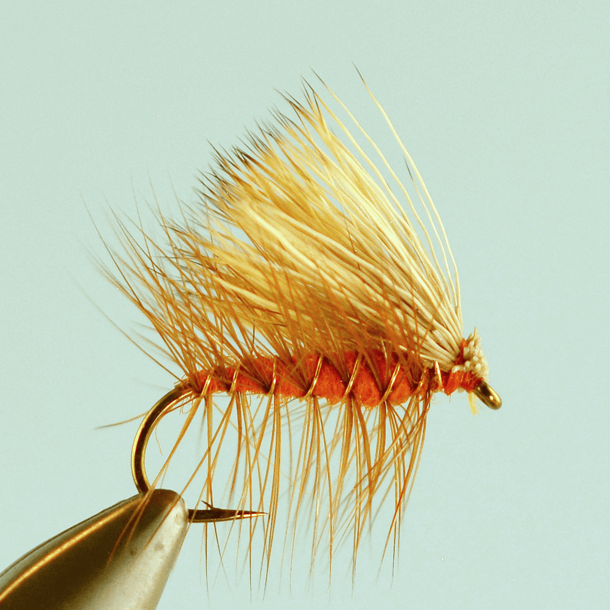 Elk Hair Caddis Orange