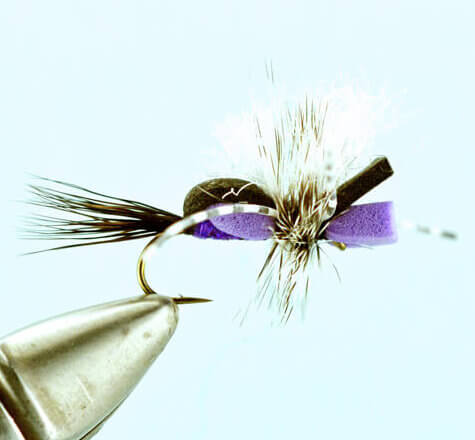 Hippie Stomper - Purple