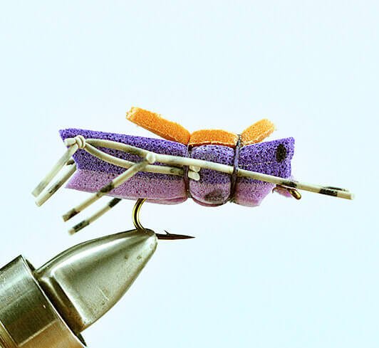 Morrish Hopper - Purple