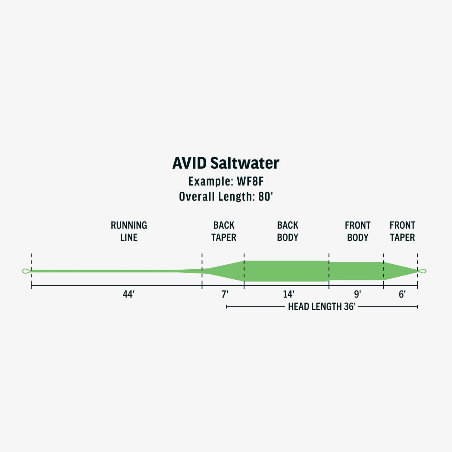 RIO Avid Saltwater Fly Line