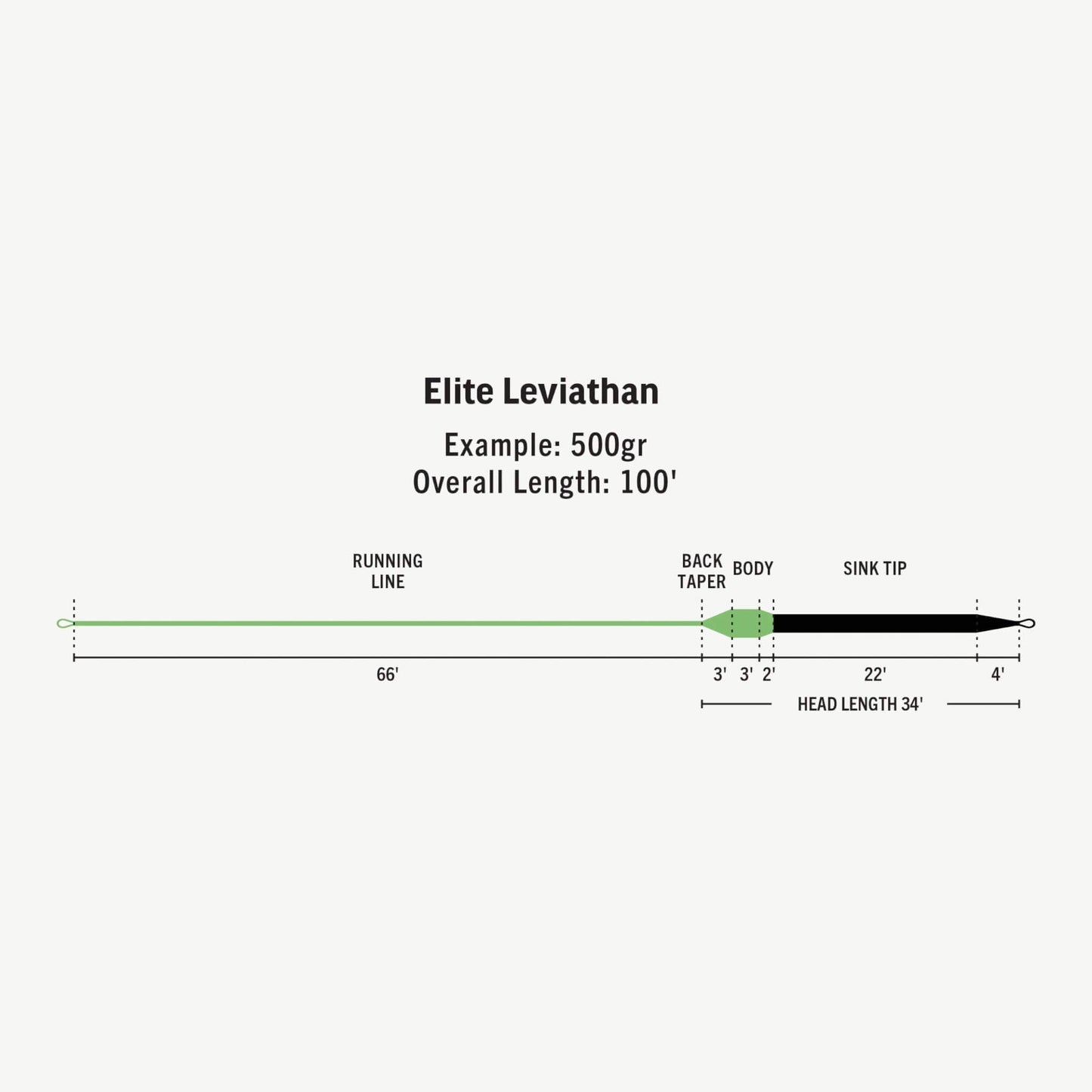 RIO Elite Leviathan 26ft Sink Tip Fly Line