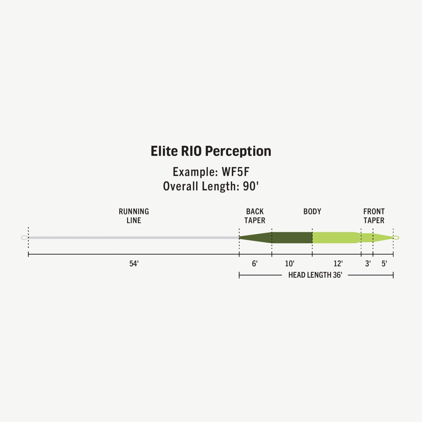 RIO Elite RIO Perception Fly Line