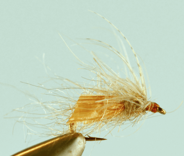 Translucent Caddis Pupa Tan