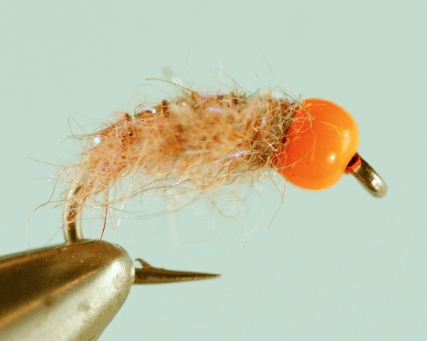 Wayno's FB Cotton Candy