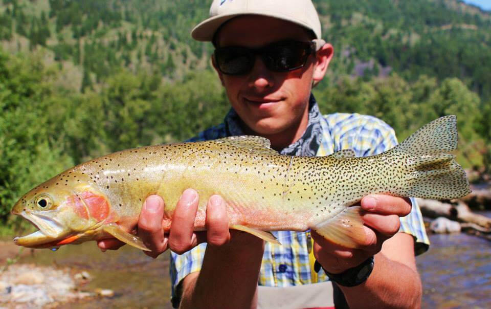 Westslope Cutthroat Trout Fly Fishing