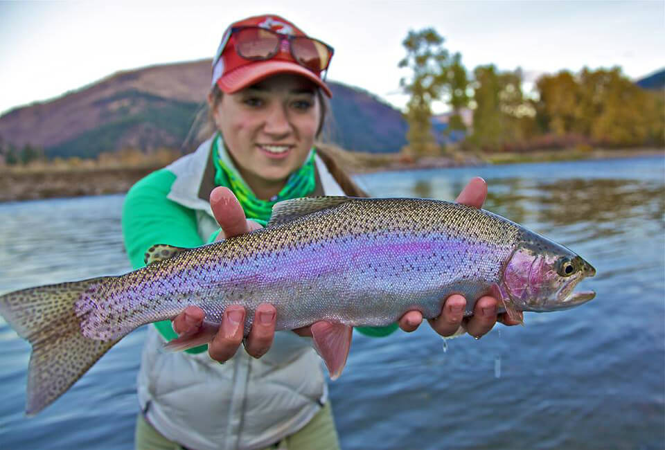 Rainbow Trout, Western Montana Fish Species