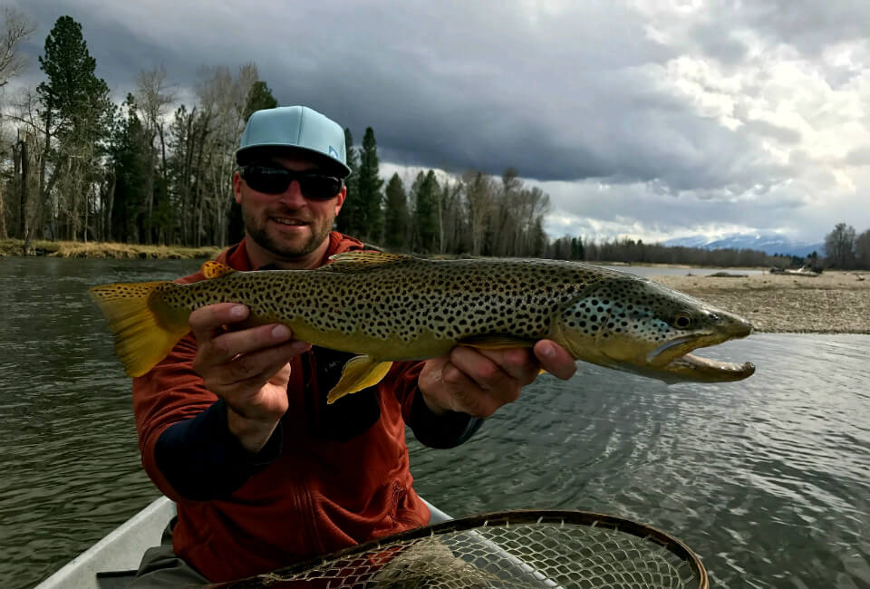 Clark Fork Brown Trout Fly Fishing Guide Missoula, MT