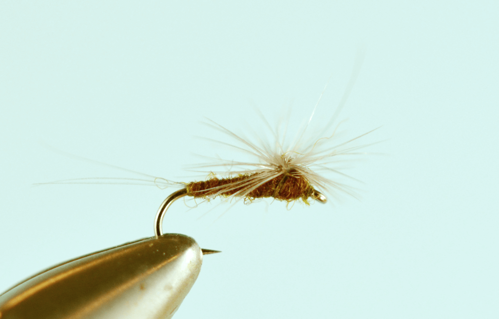 Top 6 Blue Winged Olive Fly Patterns - The Missoulian Angler Fly Shop