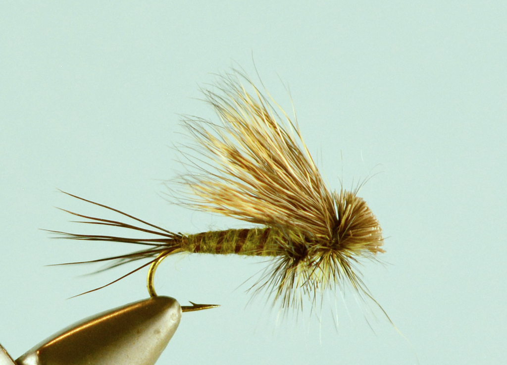 Top 5 Green Drake Fly Patterns - The Missoulian Angler Fly Shop