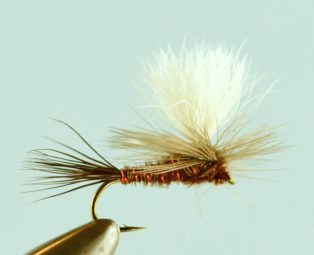 Top 6 March Brown Fly Patterns - The Missoulian Angler Fly Shop
