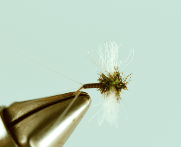 MAngler, Author at The Missoulian Angler Fly Shop - Page 9 of 18