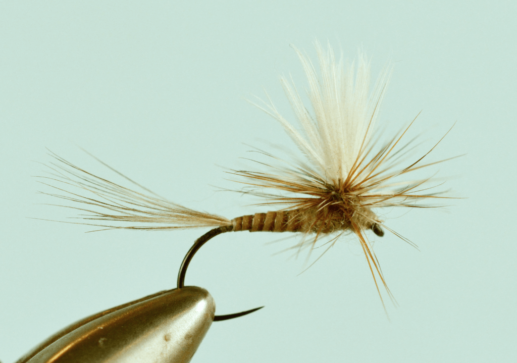 Top 4 Callibaetis Fly Patterns - The Missoulian Angler Fly Shop
