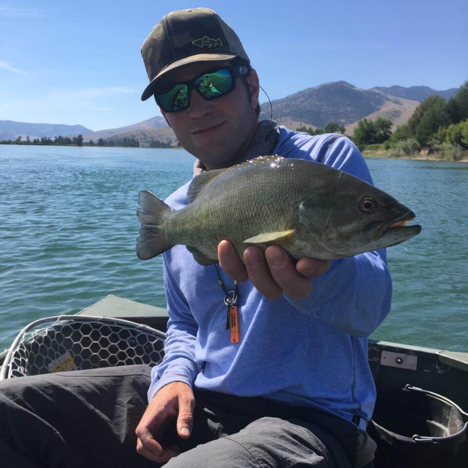 Smallmouth Bass, Western Montana Fish Species