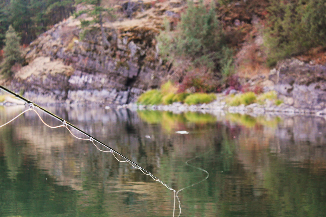 5 Best Hatches on the Clark Fork - missouliananglershop