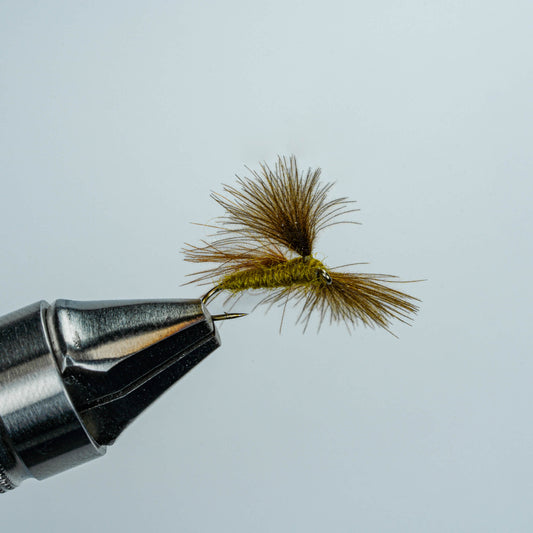 Olive CDC Caddis