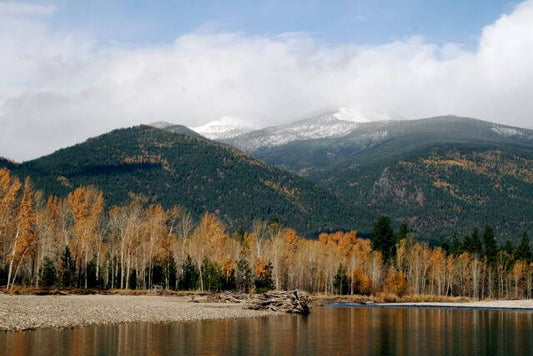 Best Flies For September Fishing In Montana - missouliananglershop