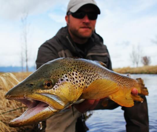 Best Fly Rods For Fishing Missoula - missouliananglershop