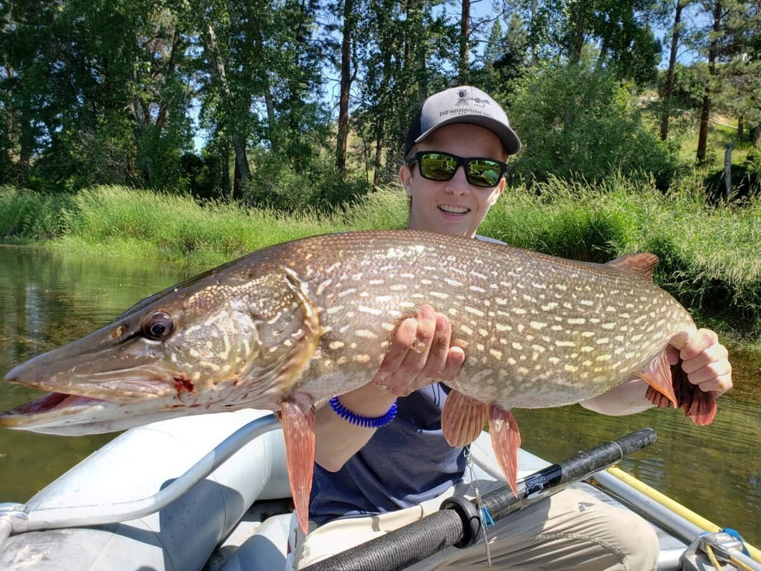 best pike fly fishing rods Pikemaniac Rod Fishing Rods for Northern Pike