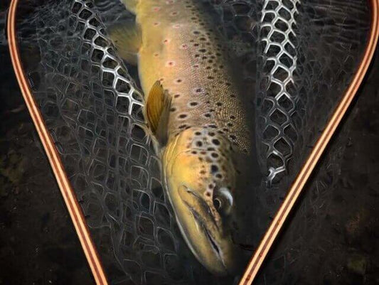 Missoula Fall Fly Fishing - missouliananglershop