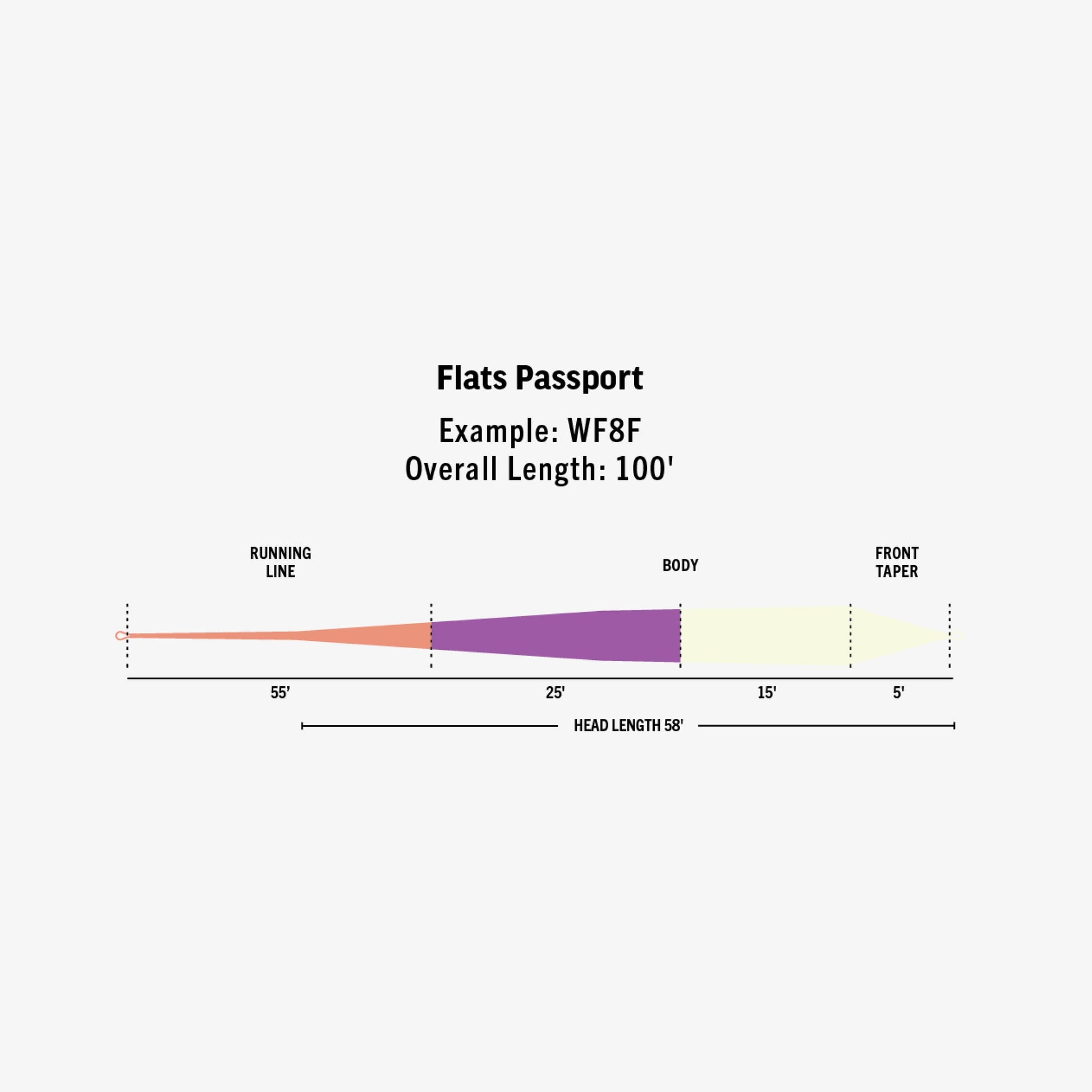 RIO Ambassador Series Flats Passport Fly Line