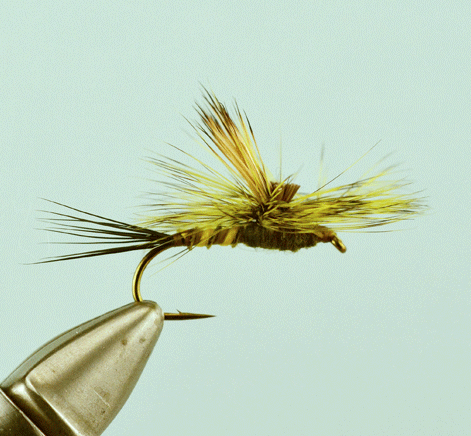 Tilt Wing Green Drake