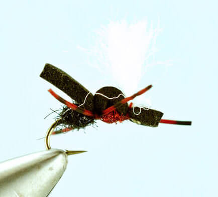 Hippie Stomper Royal