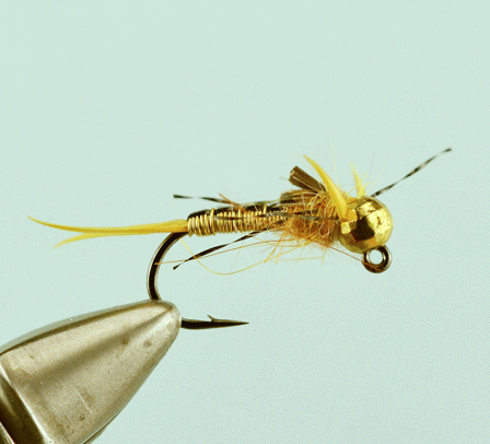 Iron Sally Jig Morrish