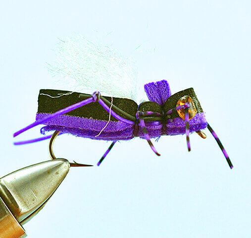 Purple Pavs Yellowstoner Hopper