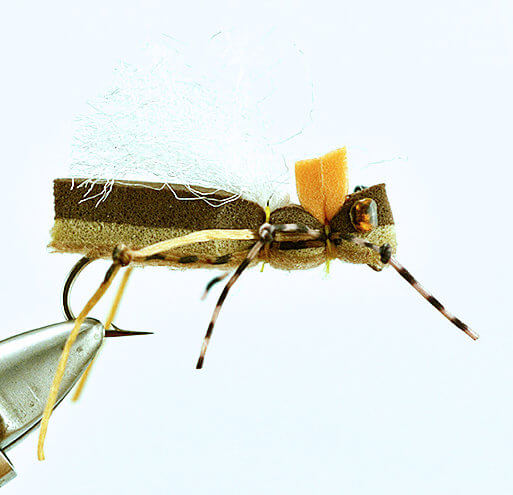 Tan Pavs Yellowstoner Hopper