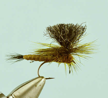 Trinas Carnage Green Drake