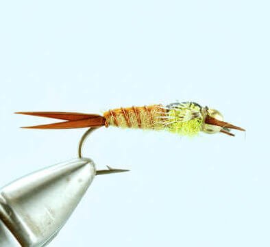 Beadhead Yellow Sally