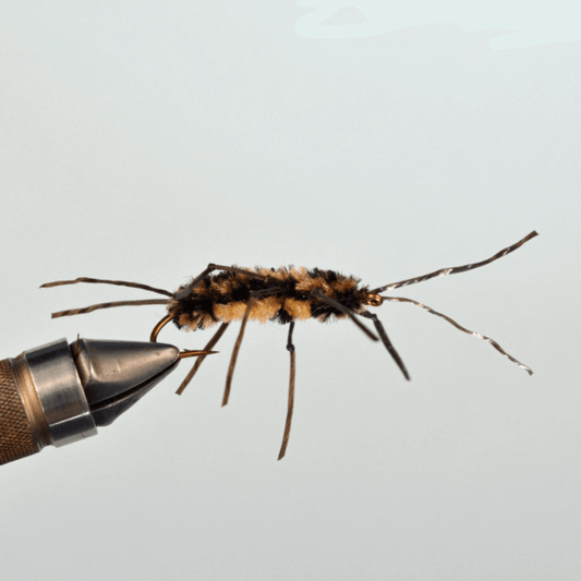 Cheater Belly - Black/Brown