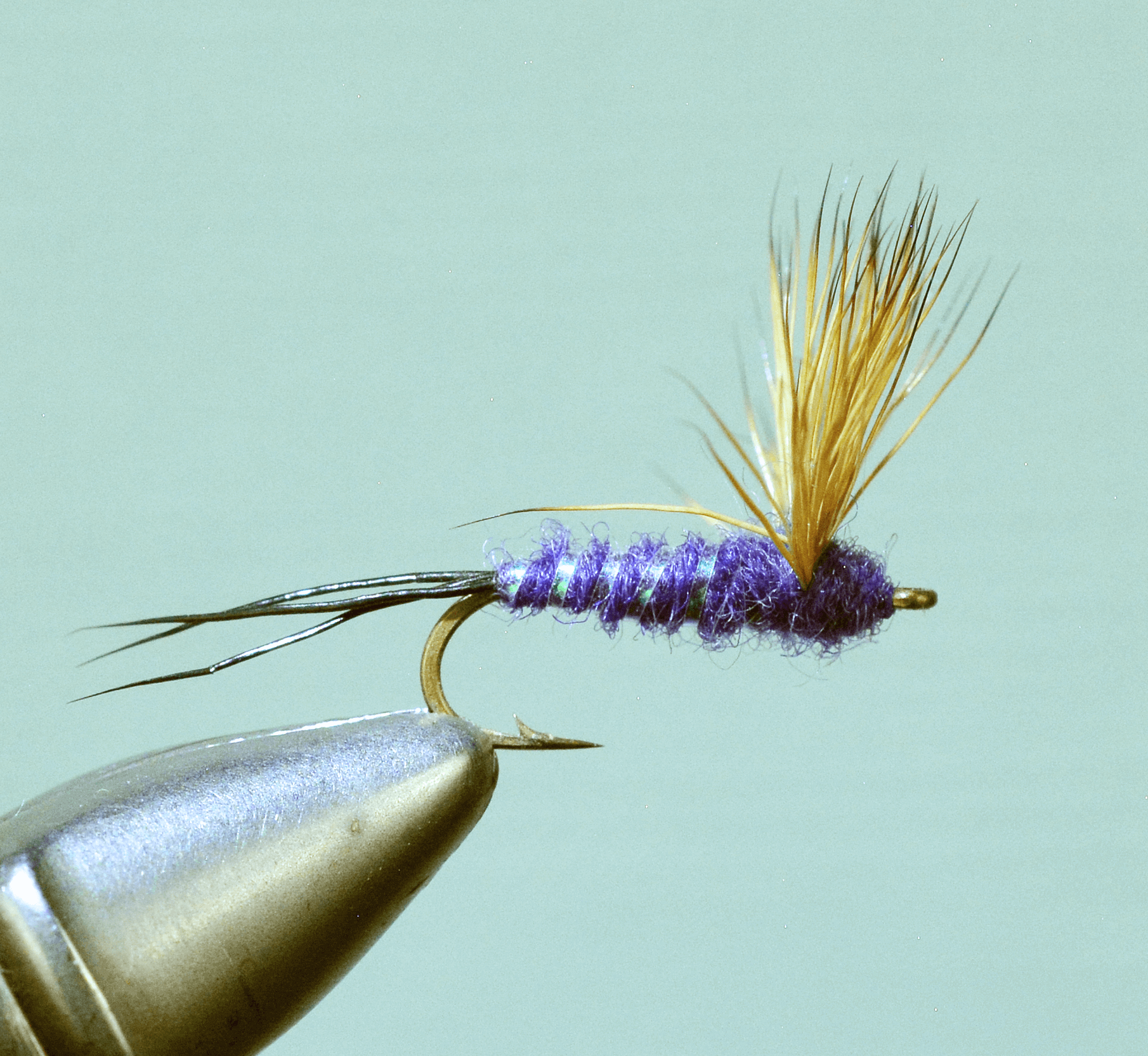 Comparadun Purple Haze