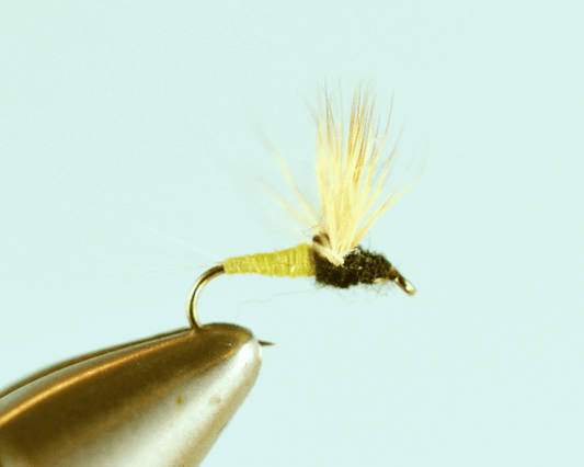 Female Comparadun Trico