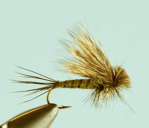 Hairwing Green Drake