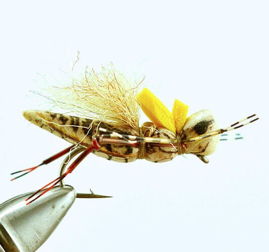 Henneberry Hopper - Tan