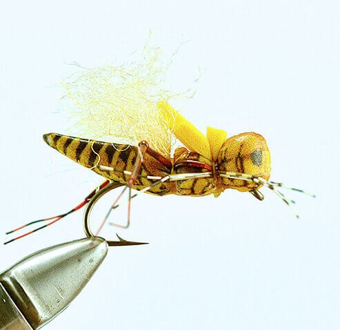 Henneberry Hopper - Yellow