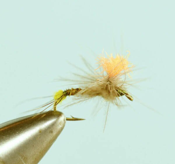 Hi Vis Spinner BWO