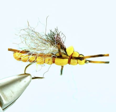 Morningwood - Golden