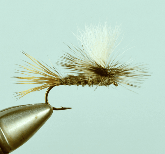 Parachute Hare's Ear