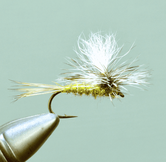 Parachute Hare's Ear - Olive