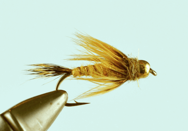 Red Squirrel Fox Nymph