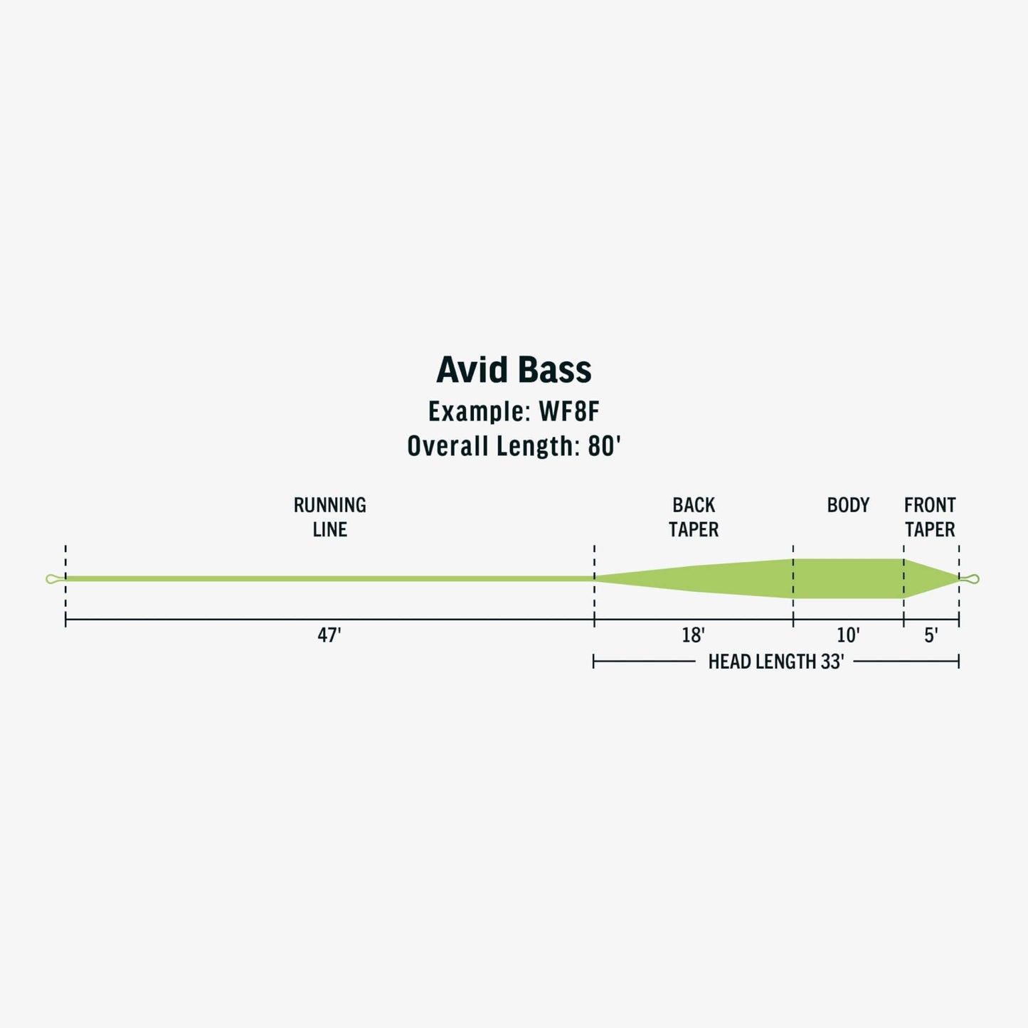RIO Avid Bass Fly Line