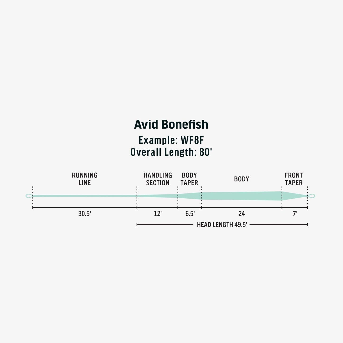 RIO Avid Bonefish Fly Line